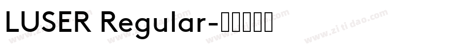 LUSER Regular字体转换